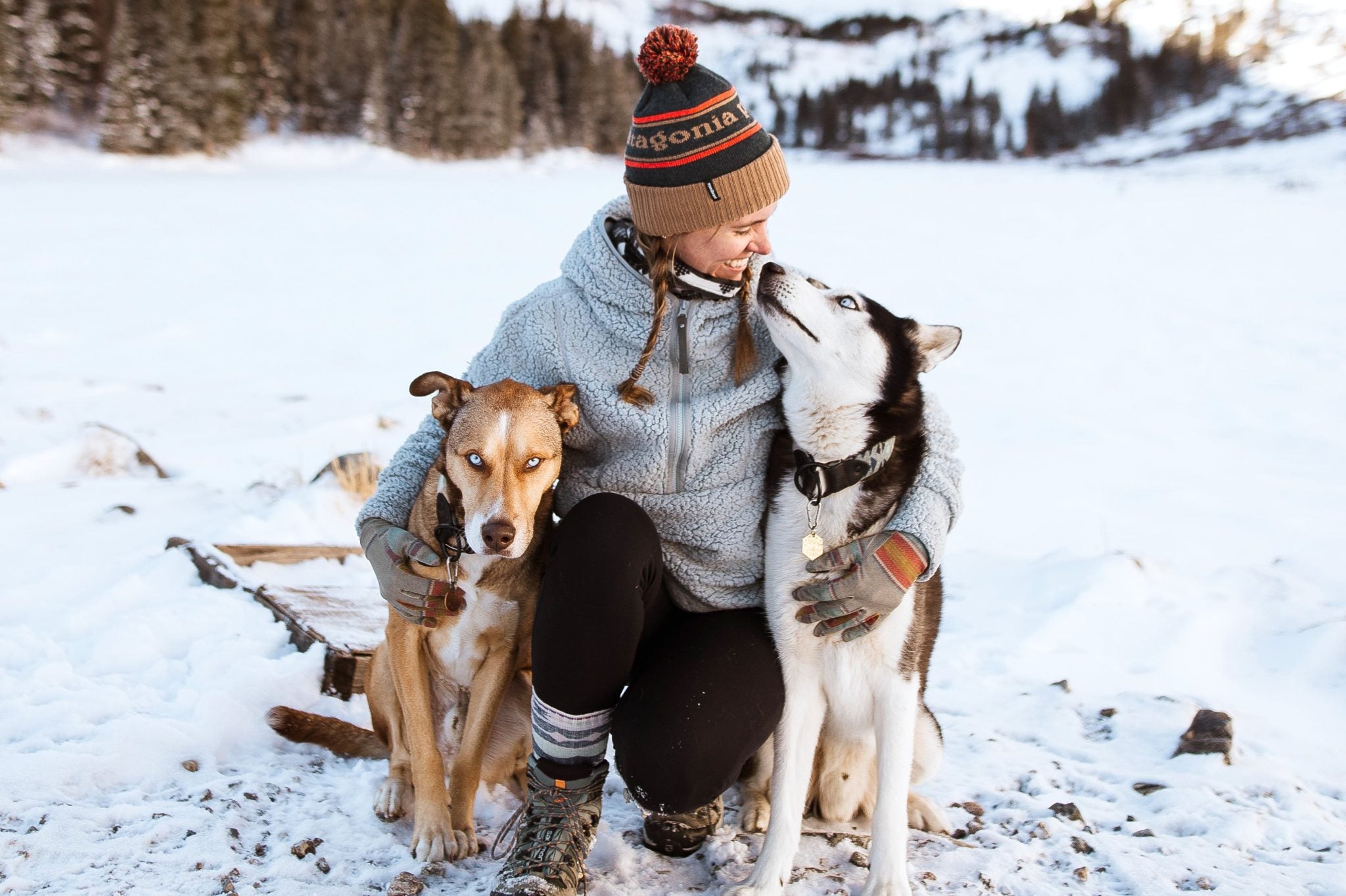 Why do Dogs Shed During Certain Seasons?